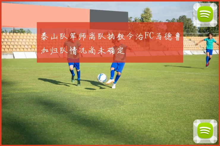泰山队军师离队执教今治FC马德鲁加归队情况尚未确定